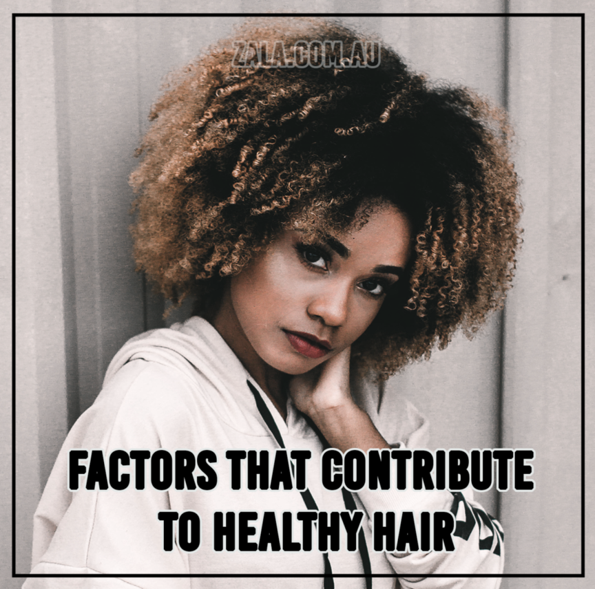 ZALA - FACTORS THAT CONTRIBUTE TO HEALTHY HAIR