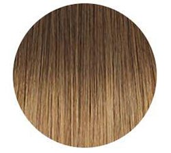 Chestnut/Dirty Hair Extensions Color Chart