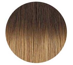 Cocoa Toffee Hair Extensions Color Chart