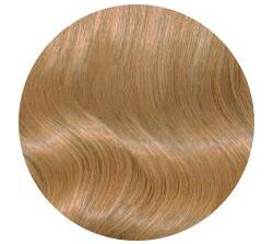 Honey Blonde Hair Extensions Color Chart
